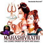Mahashivratri - The Cosmic Energy of Shiva and Shakti - J.S.R. Madhukar Song Download